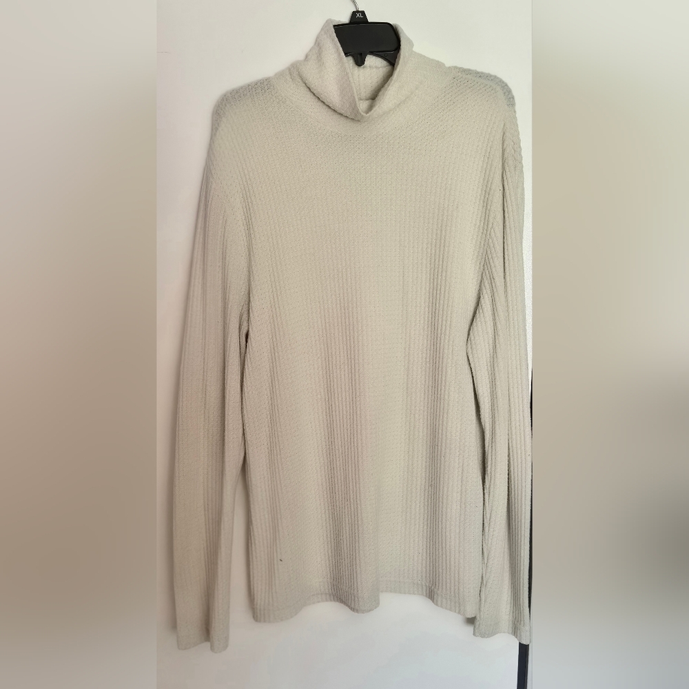 Urban Outfitters L Beigh Longsleeve Turtleneck Sweater